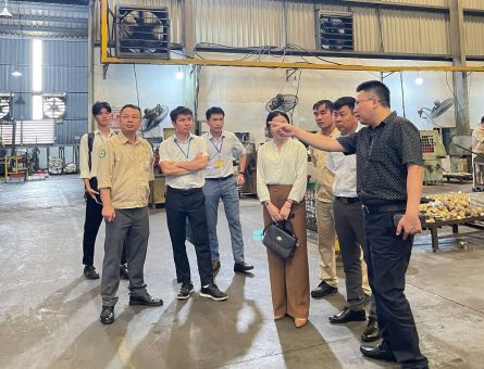 Chuyên gia VJIP khảo sát và tư vấn tại hiện trường